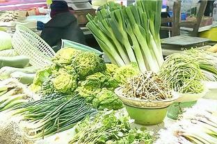 Từ 1/1/2025 TP Huế trực thuộc Trung ương, tổ chức Link Trang Chủ Nhà Cái OK9 Mới Đăng Ký +69K đô thị tại TP Hải Phòng -0